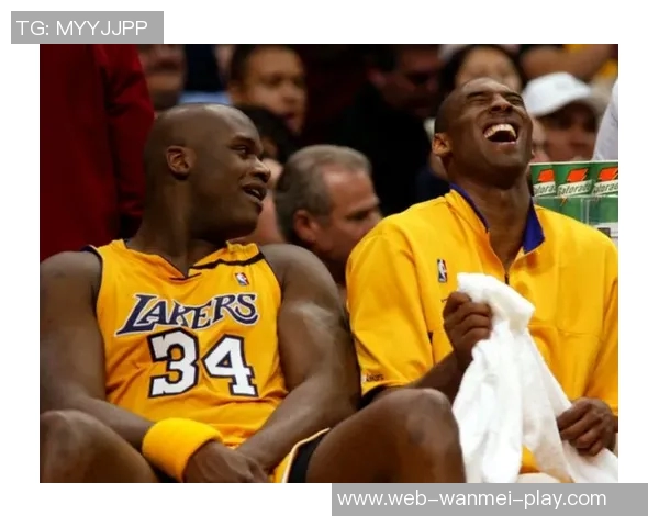 李娜与文奇的巅峰对决:网球场上的传奇之战与辉煌瞬间回顾